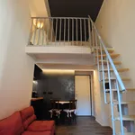 Rent 1 bedroom apartment of 50 m² in Turin