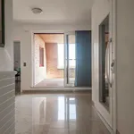 Rent 3 bedroom apartment in Edegem