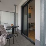 Miete 1 Schlafzimmer wohnung von 30 m² in Bonn