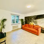 Rent 1 bedroom apartment of 667 m² in Basel