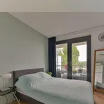 Rent 2 bedroom apartment of 71 m² in Utrecht