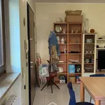 Rent 3 bedroom apartment of 80 m² in Lecce