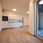 Rent 1 bedroom apartment of 33 m² in Capital City of Prague