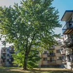  appartement avec 1 chambre(s) en location à Montreal