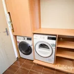 Rent 1 bedroom apartment of 30 m² in Brno