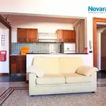 Rent 2 bedroom apartment of 60 m² in Novara