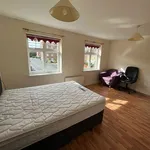 Rent 4 bedroom house in North East England