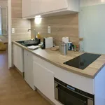 Rent 1 bedroom apartment of 28 m² in Abrest