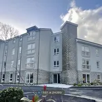 Rent 2 bedroom apartment in Wales