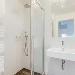 Rent 4 bedroom apartment in Prague