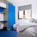 Rent 1 bedroom flat in Yorkshire And The Humber