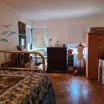 Rent 1 bedroom apartment of 550 m² in Bronx