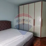 Rent 3 bedroom apartment of 80 m² in Busto Arsizio