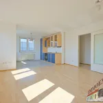 Miete 2 Schlafzimmer wohnung von 58 m² in Vienna