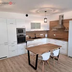 Rent 1 bedroom apartment in Slavkov u Brna