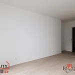 Rent 1 bedroom apartment in Plzeň