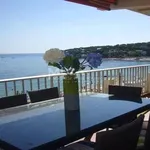 Rent 1 bedroom apartment in Antibes