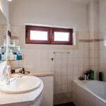 Rent a room of 130 m² in Prague