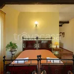 Rent 1 bedroom apartment of 55 m² in Ferrara