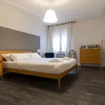 Rent 1 bedroom apartment of 62 m² in bologna