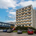 Rent 1 bedroom apartment of 20 m² in Hradec Králové