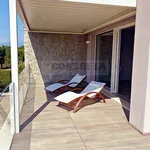 Rent 1 bedroom house of 200 m² in Lazise