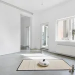 Rent 1 bedroom apartment in Antwerpen