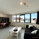 Rent 1 bedroom apartment in Ghent