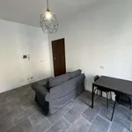 Rent 2 bedroom apartment of 55 m² in Milan