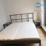 Rent 1 bedroom apartment in Brno