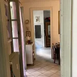 Rent 1 bedroom apartment of 45 m² in torino