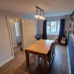 Rent 4 bedroom house in North East England