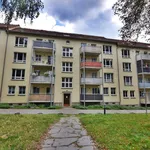 Rent 3 bedroom apartment of 61 m² in Chemnitz