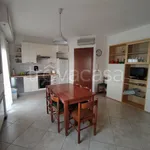 Rent 4 bedroom apartment of 80 m² in Castiglione della Pescaia