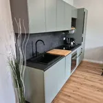 Rent 2 bedroom apartment of 60 m² in Turin