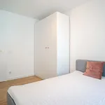 Rent 2 bedroom apartment of 56 m² in Łódź