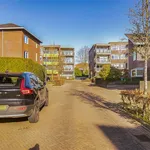 Peltstraat, Oosterbeek - Amsterdam Apartments for Rent