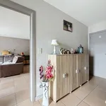 Rent 2 bedroom house in Glabbeek-Zuurbemde