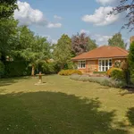 Rent 1 bedroom house in Mole Valley