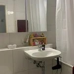 Rent 2 bedroom apartment in Zurich