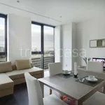 Rent 2 bedroom apartment of 50 m² in Milano