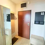 Rent 1 bedroom apartment of 30 m² in Krakow