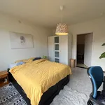 Rent 1 bedroom apartment in Kessel-Lo