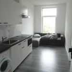 Rent 1 bedroom apartment of 25 m² in 's-Gravenhage