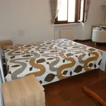 Rent 4 bedroom apartment of 110 m² in Milano