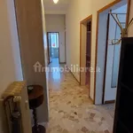 Rent 3 bedroom apartment of 80 m² in Bologna