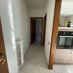 Rent 2 bedroom apartment of 60 m² in Bari