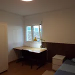 Rent 5 bedroom apartment in Lisbon