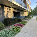 Rent 3 bedroom apartment of 68 m² in SZCZECIN