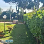 Rent 5 bedroom house of 75 m² in Laura